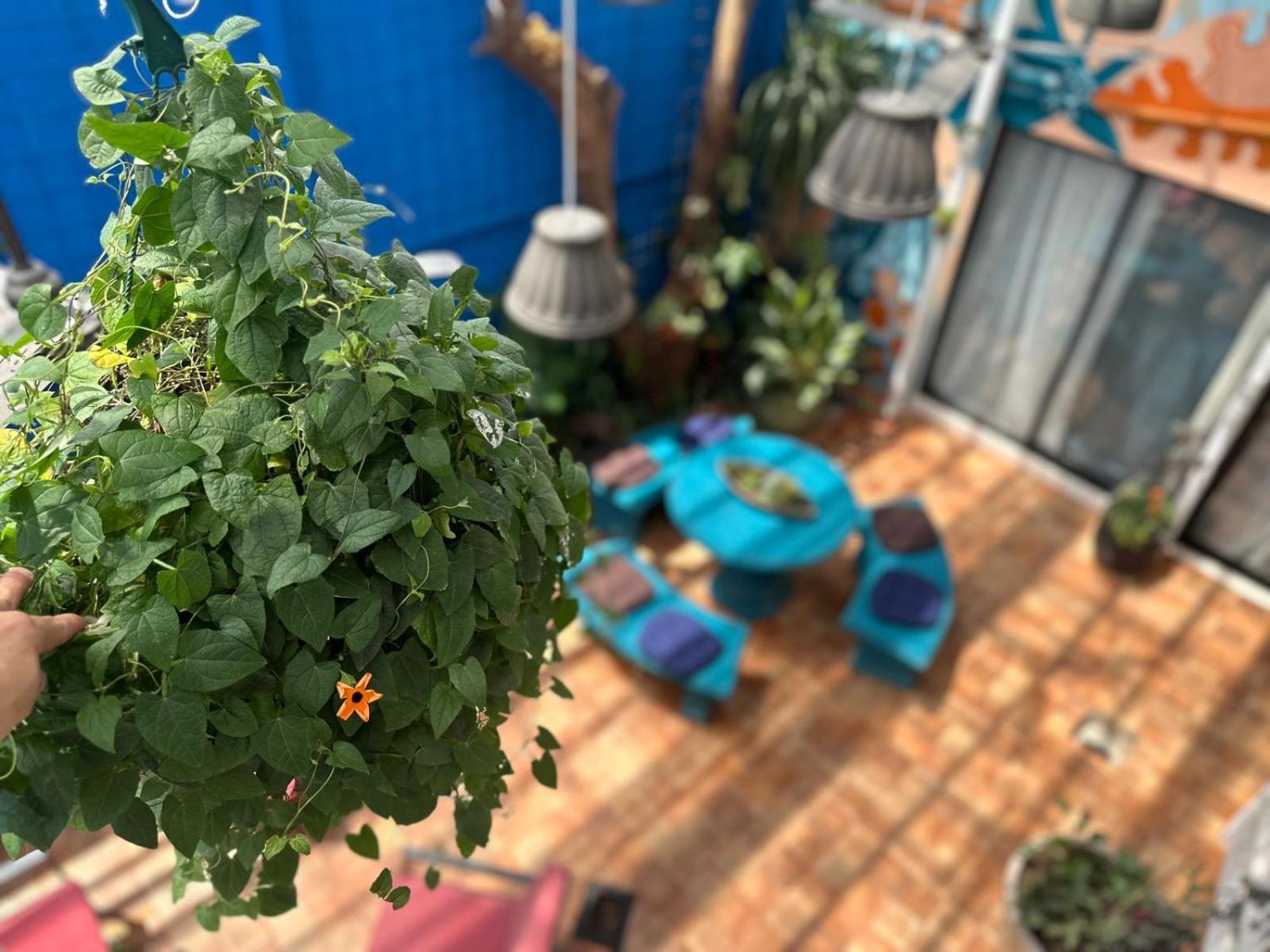 Jungla Urbana, Bnb Pavas Exteriör bild