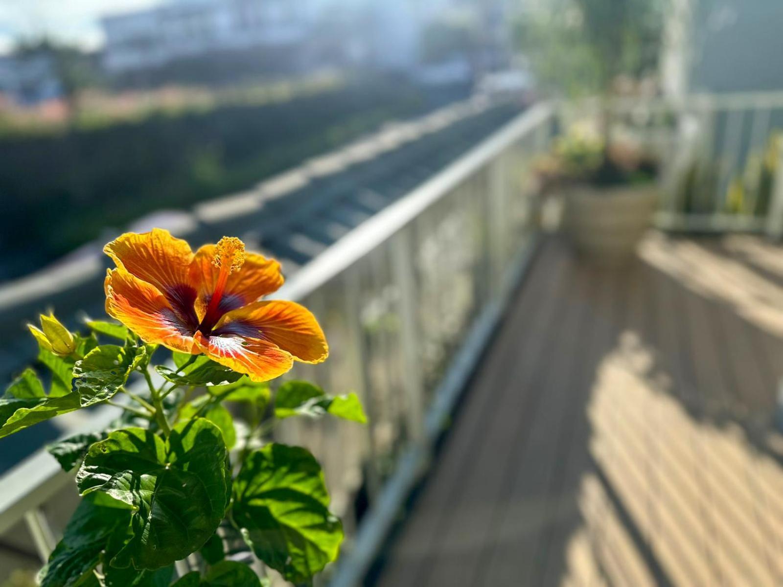 Jungla Urbana, Bnb Pavas Exteriör bild