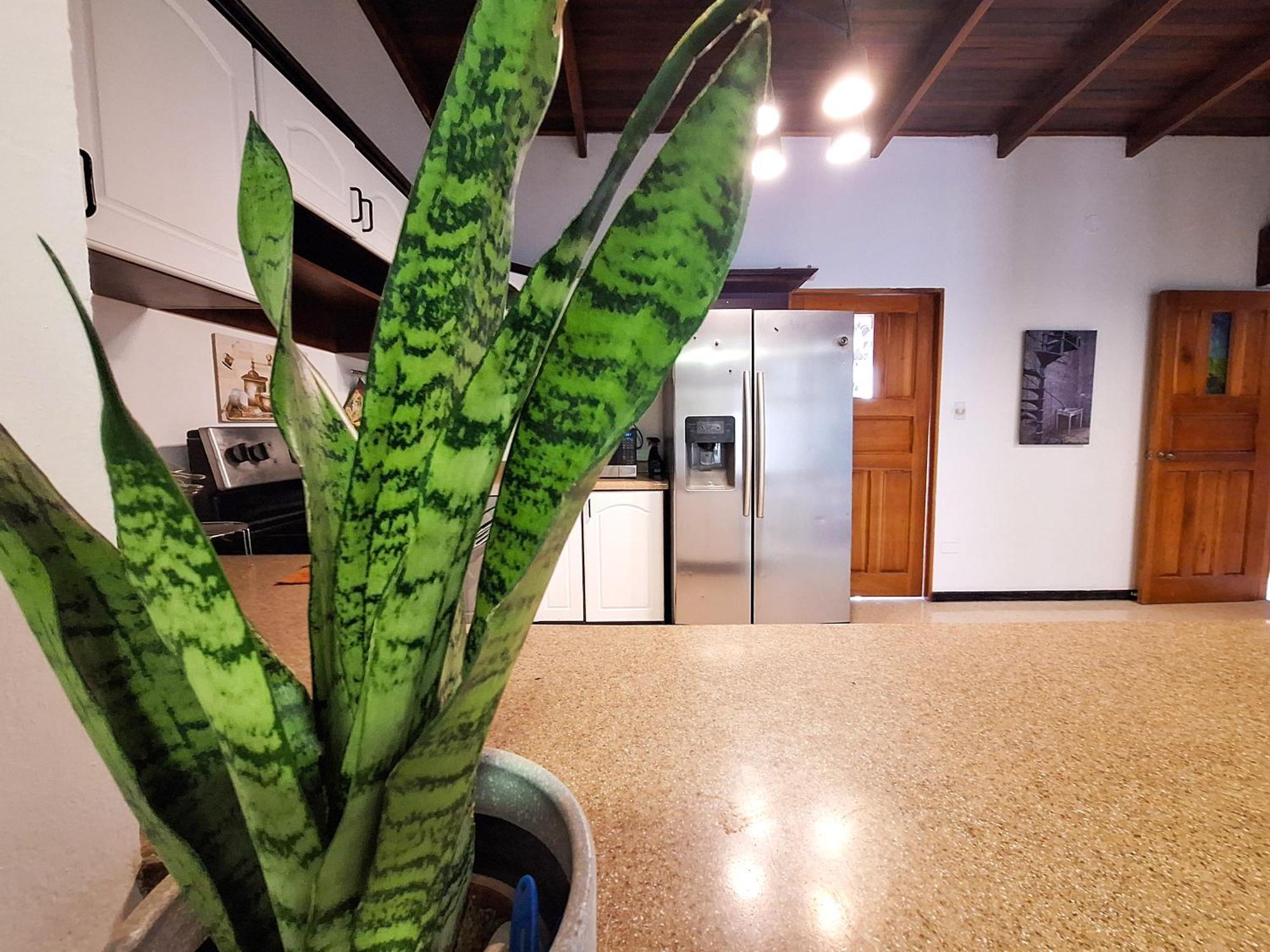 Jungla Urbana, Bnb Pavas Exteriör bild